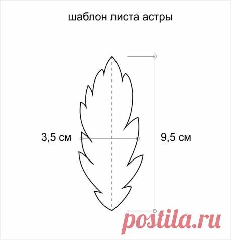 Мастер-класс Астра из фоамирана