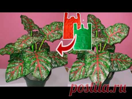 Как сделать растения Caladium Bicolor из полиэтиленового пакета | Цветочные поделки