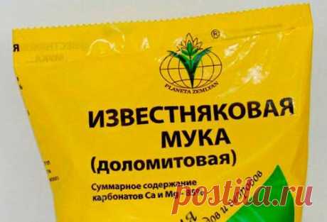 Доломитовая мука как удобрение: как применять, когда вносить в почву осенью - Почва.нет