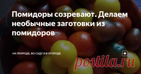 Помидоры созревают. Делаем необычные заготовки из помидоров Давно не мариную просто помидоры в банках. Мне стало не очень интересно это делать, а семье хочется новых вкусов и новых блюд.