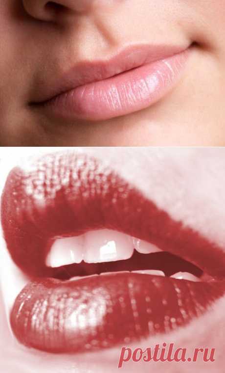 Как увеличить губы натуральными средствами - Шаг к Здоровью
