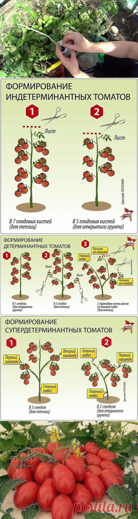 (1) Одноклассники