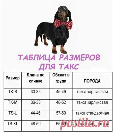 «Как определить размер собачки, как померить собаку... Таблиц» — карточка пользователя Лидия Гнатюк в Яндекс.Избранном