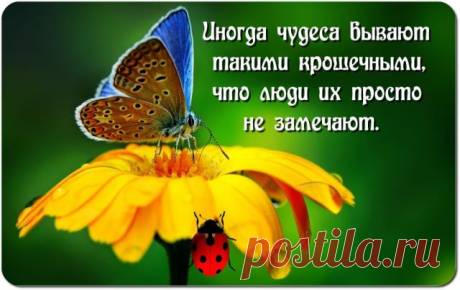 Мне было лет четырнадцать.

Я ехала в троллейбусе без билета, когда зашли контролёры. Как честная и правильная девочка, я предсказуемо растерялась и почти готова была расплакаться, когда вдруг незнакомый молодой человек, который, видимо, заметил мою панику, ни слова не говоря, вложил мне в руки талон и вышел.

Двери закрылись. 
Я не успела сказать «спасибо».

Я просто пробила талон и вот уже больше пятнадцати лет храню его в школьном блокноте как напоминание о том дне, ког...