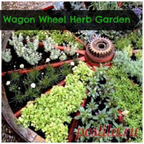 Tutorial For Making A Wagon Wheel Herb Garden | Home and Garden | CraftGossip.com