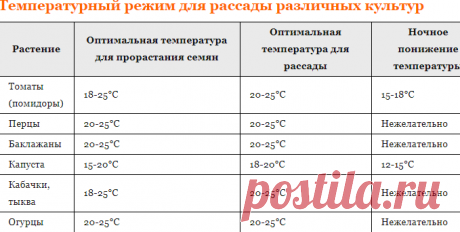 Выращивание рассады: сроки, досвечивание, оптимальная температура - Дачные советы.ру