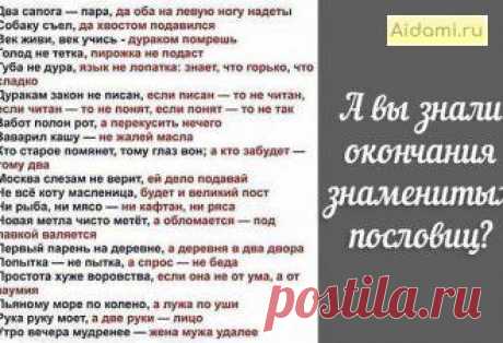 А вы знали окончания популярных пословиц?! | АйДаМы | У нас Всегда лучшее