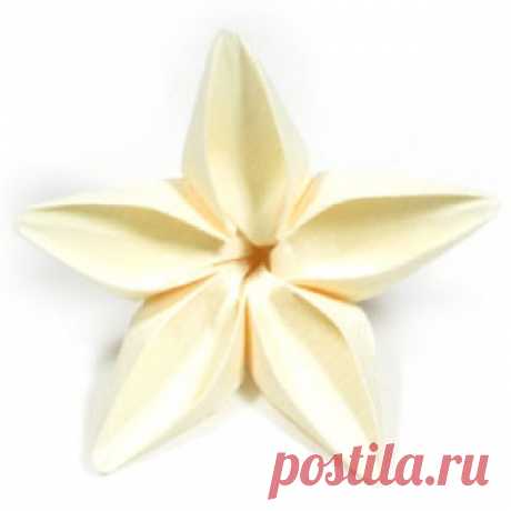 How to make an origami jasmine flower: page 1