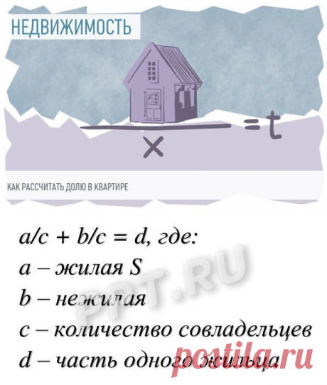 Как считаются ДОЛИ в КВАРТИРЕ в 2023 году. Как рассчитать долю от общей площади имущества