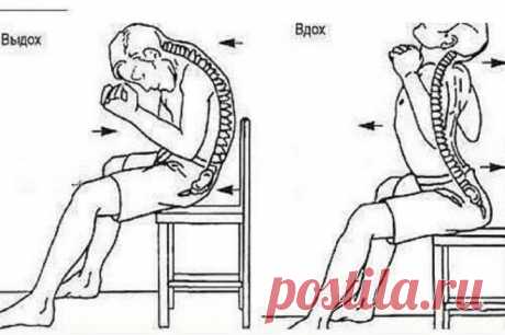 Дыхание Позвоночным Столбом — это отличное упражнение, которое можно выполнять как сидя, так и стоя.