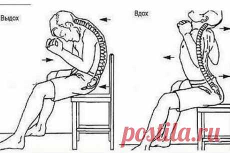 ДАОССКИЙ ОМОЛАЖИВАЮЩИЙ САМОМАССАЖ: ДЫХАНИЕ ПОЗВОНОЧНЫМ СТОЛБОМ Дыхание Позвоночным Столбом — это отличное упражнение, которое можно выполнять как сидя, так и стоя.