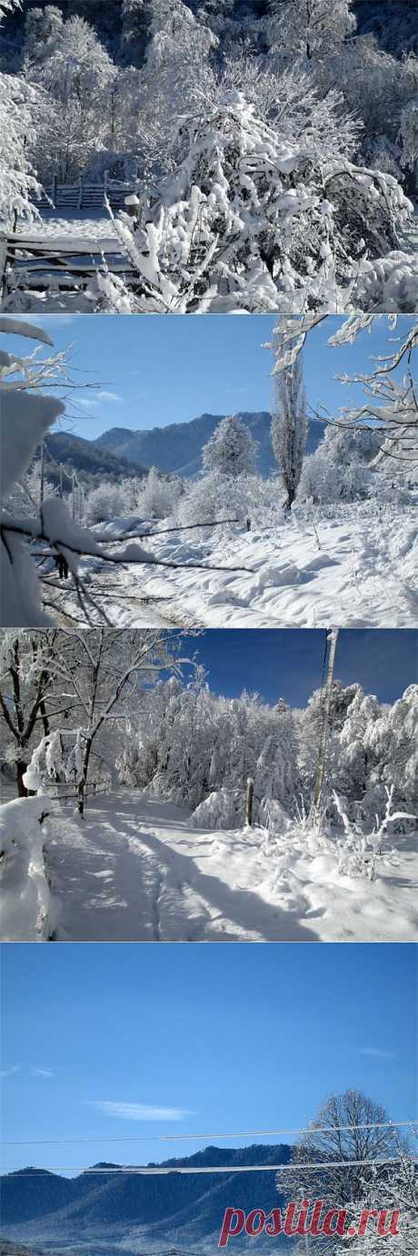 Зима в горах. Фото.