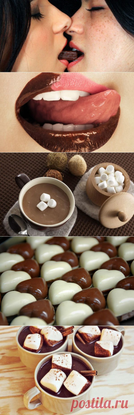 Кафе Алиби | Любовь к шоколаду: плюсы и минусы