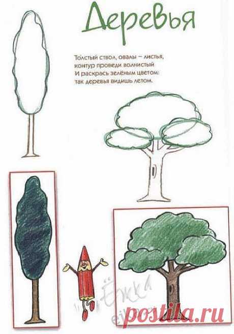 деревья