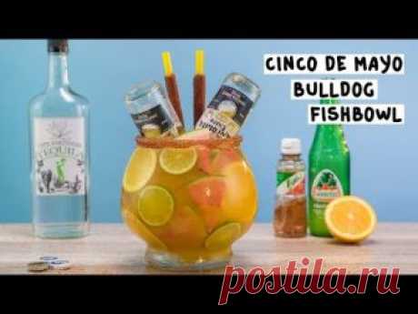 Cinco de Mayo Bulldog Fishbowl - Tipsy Bartender