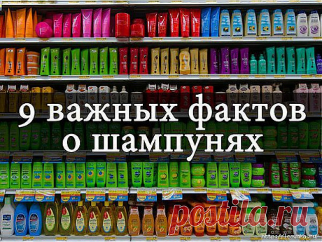 9 важных фактов о шампунях.