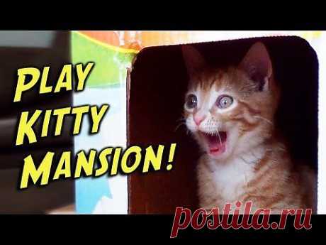 Play-Kitty Mansion! - YouTube