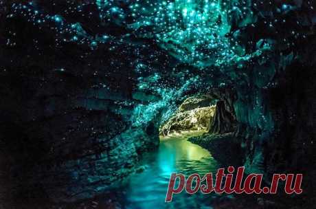 Пещера Уэйтомо Глоуворм (Waitomo Glowworm), Новая Зеландия - пещера светлячков