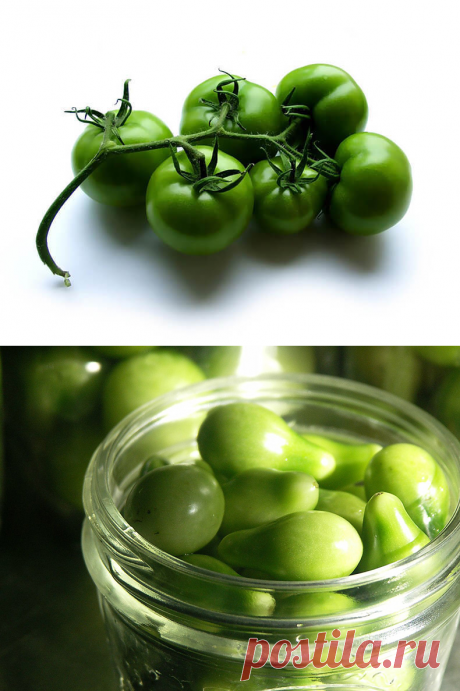 Что приготовить из зелёных помидор? 9 рецептов &amp;#8212; Вкусные рецепты