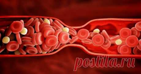 Как и зачем повышать гемоглобин в крови? 4 народных средства. | Здоровье и Питание | Яндекс Дзен