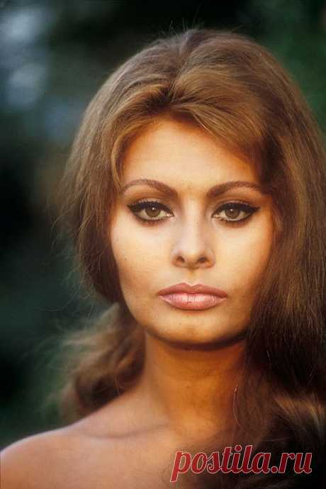 sophia loren | Favorites