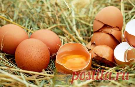 Какие яйца лучше покупать, крупные или мелкие?