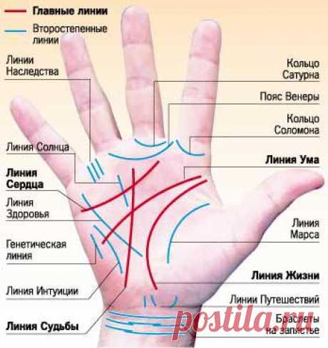 Картинка линий на руке