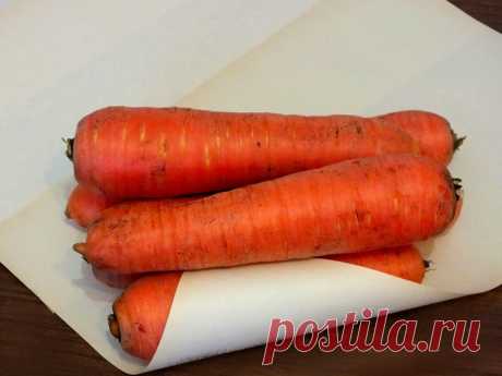 Как сохранить морковь на зиму, не имея погреба | Настя Наумова | Яндекс Дзен