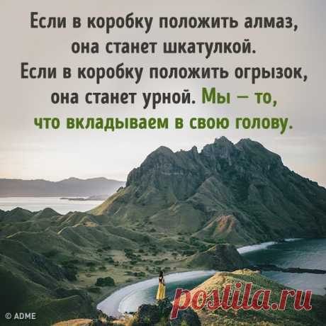 7 эффективных способов освободить свой мозг от негативных мыслей: goo.gl/rGxp99