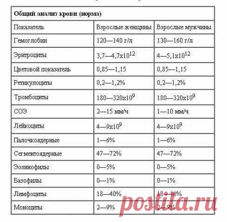 Доступно об общем анализе крови: учимся понимать свои анализы