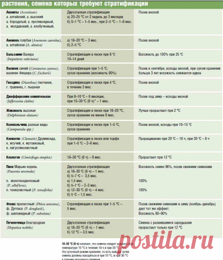 Стратификация семян дома и под снег, подготовка к посеву | Дача - впрок