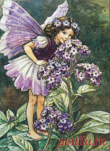 "Flower Fairies - Sheila Burgos" — card of the user Катерина В. in Yandex.Collections