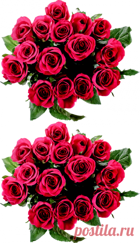 Бесплатный вектор: Флора, Цветочный, Цветок, Лист - Бесплатные фото на Pixabay - 2028344
