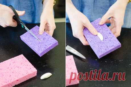 13 Ways to Use a Sponge That You’ve Never Thought of Before! - The Krazy Coupon Lady