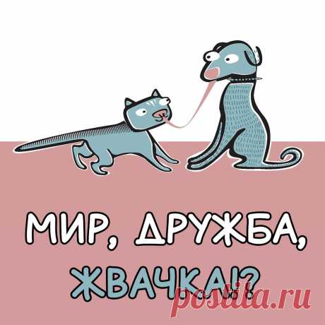 Мир, дружба, жвачка (открытка 914): Бесплатные картинки &amp;#8226; Otkrytki.Top