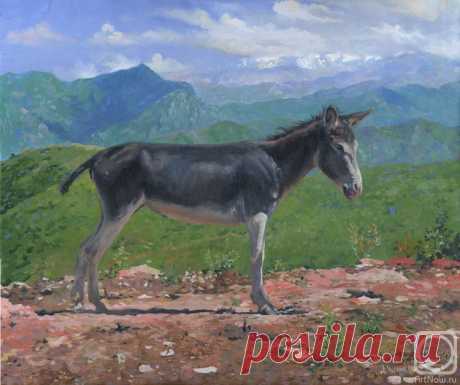 «Горный ослик» картина Чернова Дениса маслом на холсте — купить на ArtNow.ru