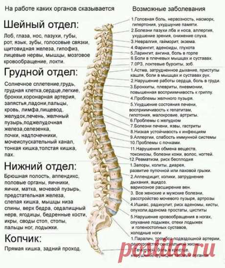 Пройди тест состояния здоровья своего позвоночника 1. Прощупайте свой позвоночник. Эта процедура: -болезненна 2 -слегка болезненна 1 -безболезненна 0 2. Прощупайте свои надплечные мышцы. Мышцы -напряжены 2 -слегка напряжены 1 -мягкие 0 3. Из положения стоя попробуйте достать кончиками пальцев рук пола. Упражнение -выполняется: -легко 0 -с трудом 2 -при выполнении возникает боль в позвоночнике 3 4. В положении сидя на полу, попробуйте достать лбом коленей. При этом возникает -натяжение в…