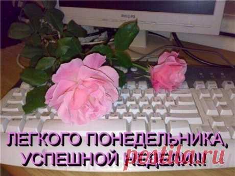 Гороскоп на сегодня, 18 октября: Львы, не стоит идти на уступки - 18 Октября 2021 - Гороскопы для женщин - Дискотека