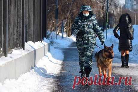 В российском регионе пропали два ребенка. Полиция на Камчатке начала поиски двух девочек восьми и 11 лет, которые пропали в Петропавловске-Камчатском 3 февраля. Девочки 2010 и 2013 года рождения ушли на прогулку в микрорайоне Северо-Восток. После того, как дети не вернулись домой, обеспокоенные родители обратились в полицию.