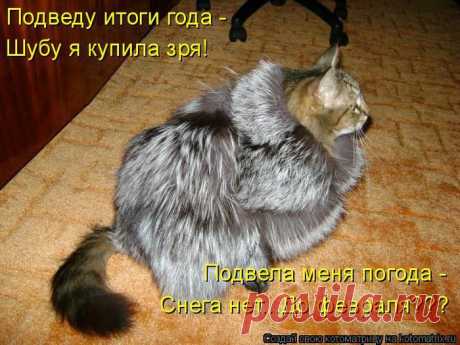 Новогодняя котоматрица.