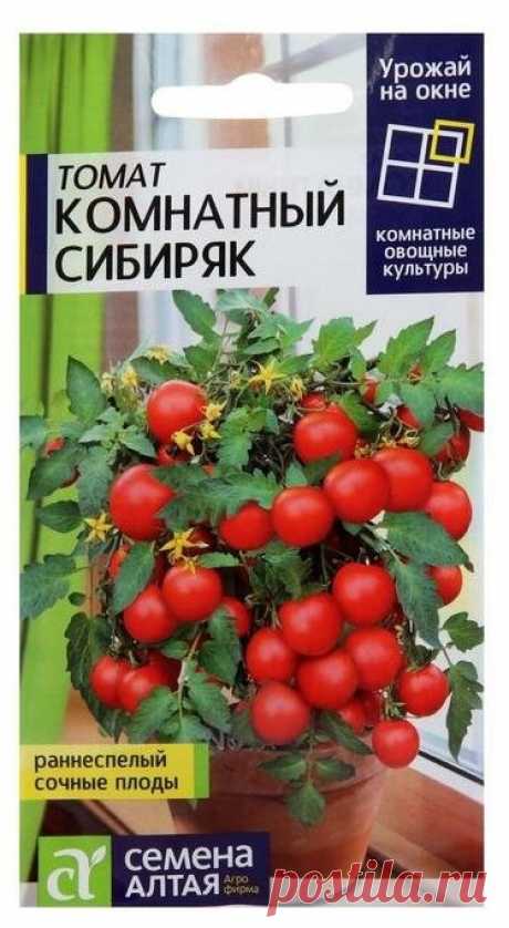 Семена Томат "Комнатный Сибиряк", Сем. Алт, ц/п, 0,05 г — купить в интернет-магазине по низкой цене на Яндекс Маркете