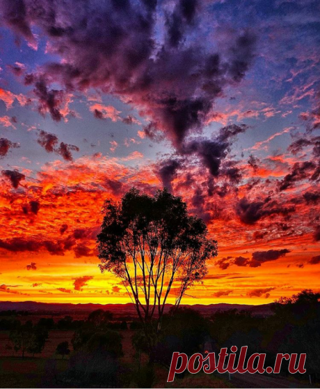 Nice picture #Holbrook, New South Wales