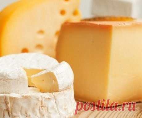 Какой сыр можно есть, когда худеешь?.. - health info