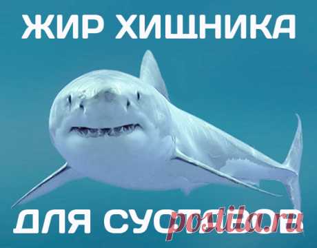 Основой этого крема является жир акул. Жир - способствует активному заживлению тканей, активирует обменные процессы. Глюкозамин - восстанавливает и укрепляет суставы при артрите и артрозах. Хондроитин - стимулирует выработку гиалуроновой кислоты, которая отвечает за здоровье хрящей. Камфара - снимает воспаления и боль при обострениях болезней суставов, хрящей и связок. Средство нужно мазать 1 раз в день.Через 4 дня артрит отступит! Боли в суставах уйдут, и они снова станут гибкими!