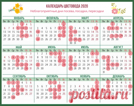 Календарь цветовода на каждый месяц 2020 года (Лунный). Хочу поделиться с цветоводами календарем, которым планирую пользоваться в 2020 году. В нем даны благоприятные дни для основных работ по уходу за цветами на каждый месяц.