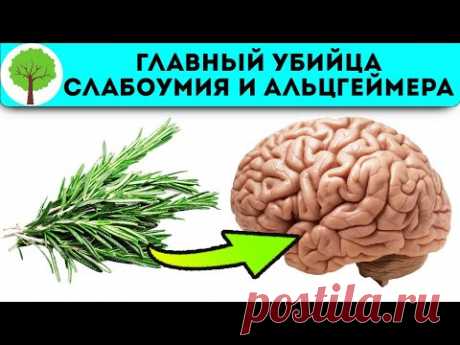 Творит чудеса с памятью и сосудами мозга! Мощная трава для сердца, иммунитета, здорового сна…