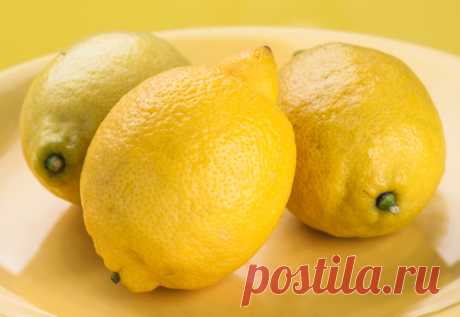 сообщение Сазонова_Танюша : 10 идей, как использовать лимон для твоей красоты (10:02 27-11-2015) [5866436/377916213] - el_sv58@mail.ru - Почта Mail.Ru