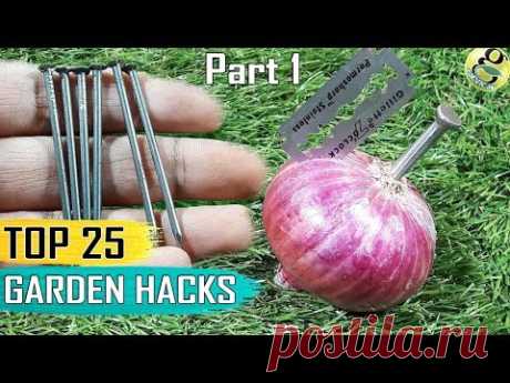 GARDEN TIPS AND HACKS: TOP 25 Gardening Hacks and Ideas Compilation – Part 1 - Happy New Year 2018