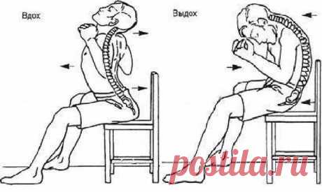 ДАОССКИЙ ОМОЛАЖИВАЮЩИЙ САМОМАССАЖ: ДЫХАНИЕ ПОЗВОНОЧНЫМ СТОЛБОМ.