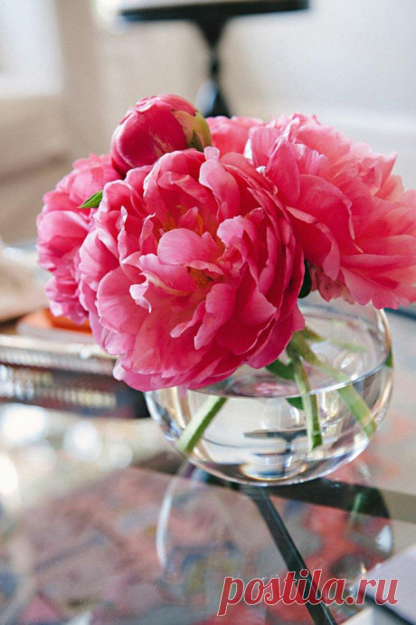 46 замечательных идей со стеклянными вазами Мы убеждены в том, что цветы в доме должны присутствовать всегда. Ведь каждый день — это повод для радости и праздника! А куда же ставить цветы, как не в стеклянные вазы? Эту тему мы сегодня рассмотри...